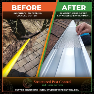 structured-pest-control (4)